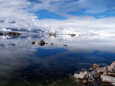 Am Mono Lake