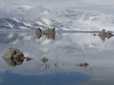 Am Mono Lake